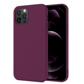 Apple iPhone 12 Pro Max dėklas "X-Level Dynamic"