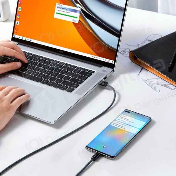 USB-C laidas Baseus Dynamic USB-A į USB-C 1 m 100 W juodas