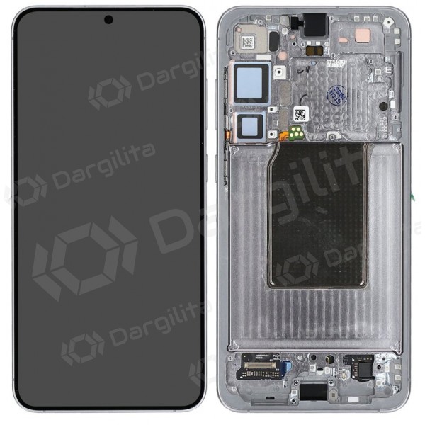 Samsung Galaxy S25+ ekranas (sidabrinis) (su rėmeliu) (assembled service pack)