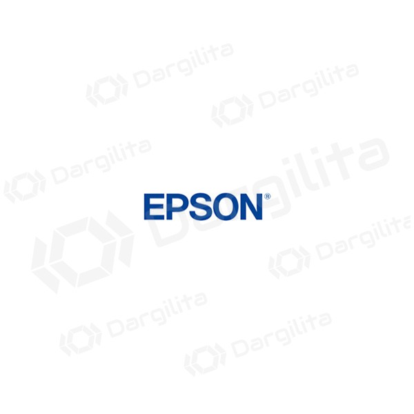 Epson (C13T887100), juoda kasetė rašaliniams spausdintuvams